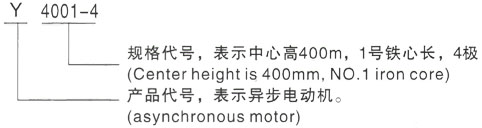 西安泰富西玛Y系列(H355-1000)高压YRKK5003-4三相异步电机型号说明